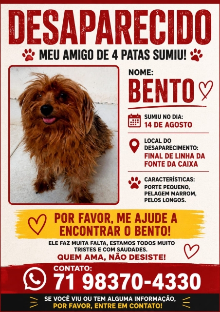 Imagem