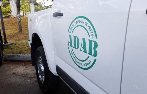 Quase uma tonelada de alimentos é apreendida em Lauro de Freitas 