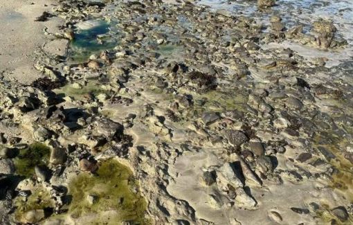 Prefeitura de Salvador decreta emergência ambiental após contaminação química na praia de São Tomé de Paripe