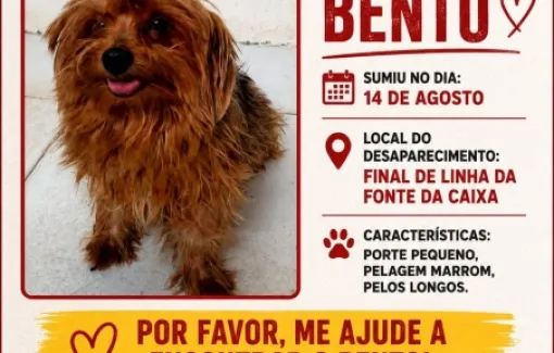 Bento desaparece na Fonte da Caixa e família pede ajuda para encontrá-lo