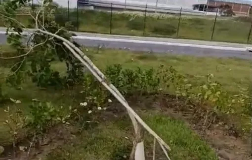   Prefeitura de Lauro de Freitas repudia atos de vandalismo contra projeto de preservação ambiental do município
