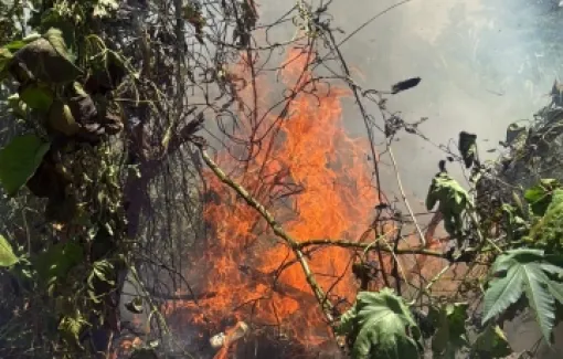 Equipe do Portal Abrantes é acionada para registrar incêndio e ajuda a combater chamas em frente a escola