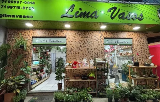 Lima Vasos: uma história de amor, perseverança e sonhos que florescem em Vila de Abrantes