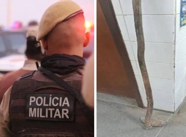 Bahia: Homem é detido após tentar atacar idoso com enxada