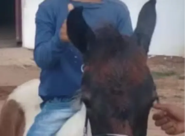 Criança morre afogado em piscina de fazenda no interior da Bahia