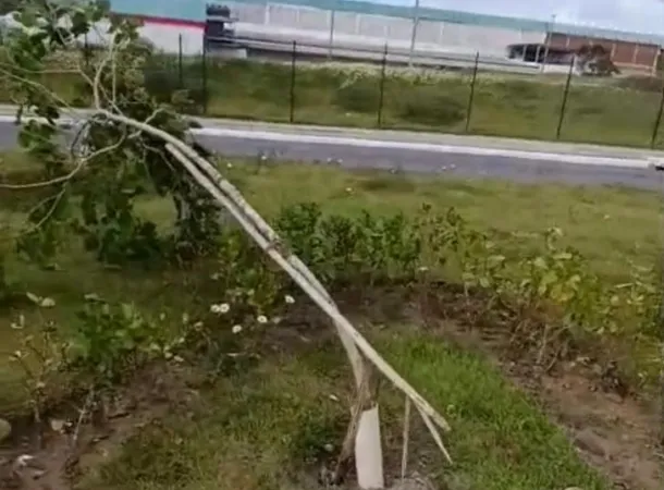   Prefeitura de Lauro de Freitas repudia atos de vandalismo contra projeto de preservação ambiental do município