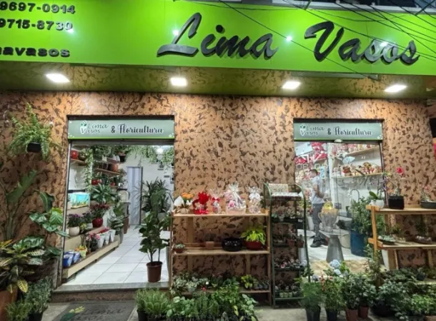 Lima Vasos: uma história de amor, perseverança e sonhos que florescem em Vila de Abrantes