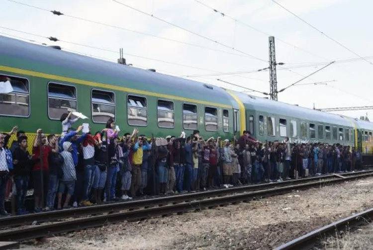 Migrantes e policiais durante distribuição de alimentos na Estação Ferroviária de Bicske, na HungriaEPA/Herbert P. Oczeret/Agência Lusa/