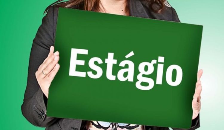 Foto: Reprodução Web