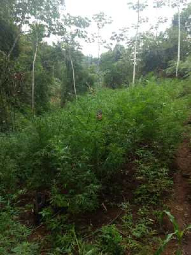 Foto: Divulgação SSP