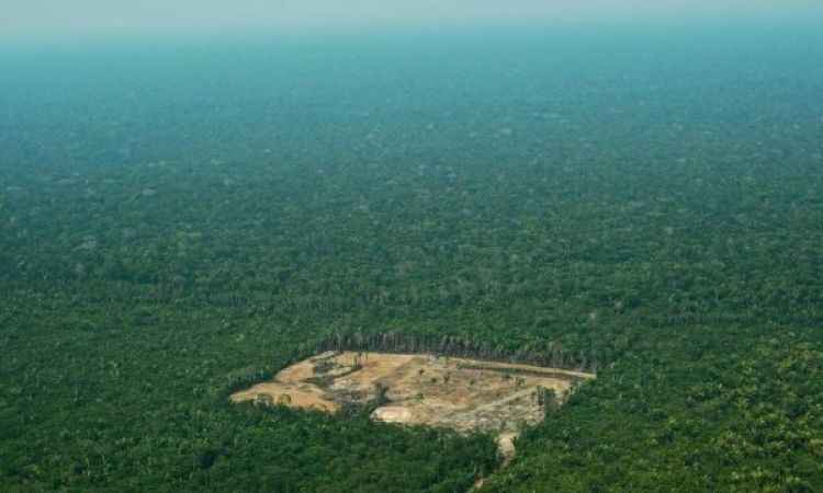Área de desmatamento na região da Amazônia Foto: CARL DE SOUZA/AFP