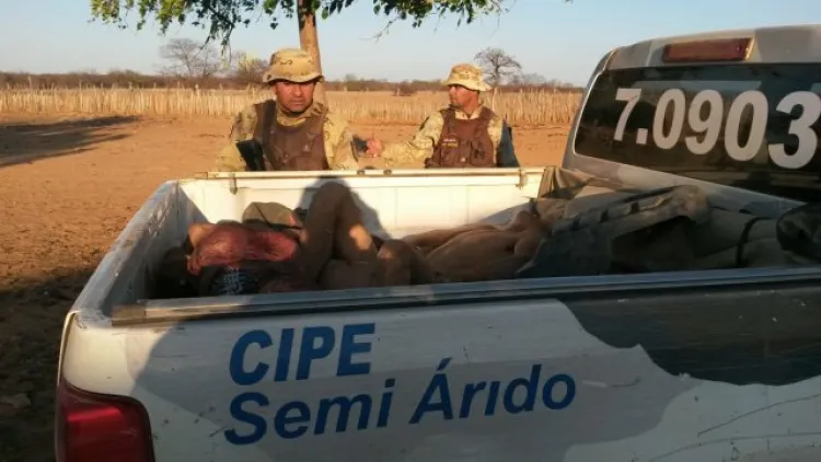 Foto: Reprodução