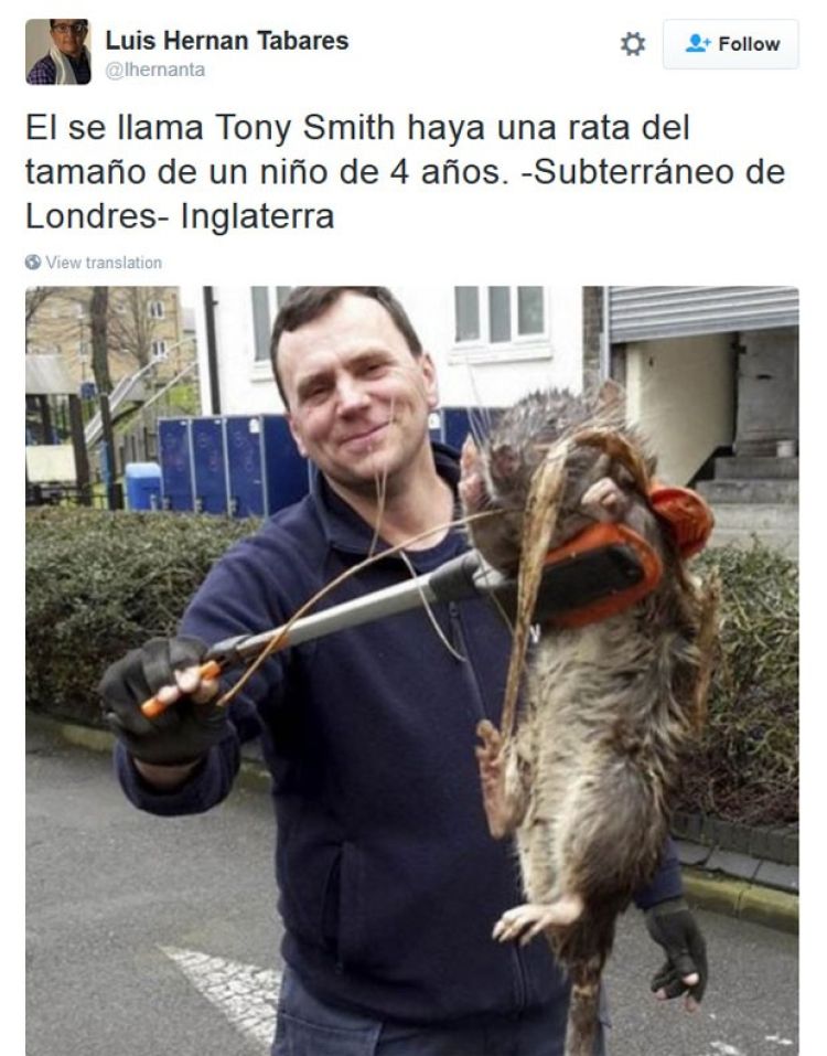Foto: Reproduç