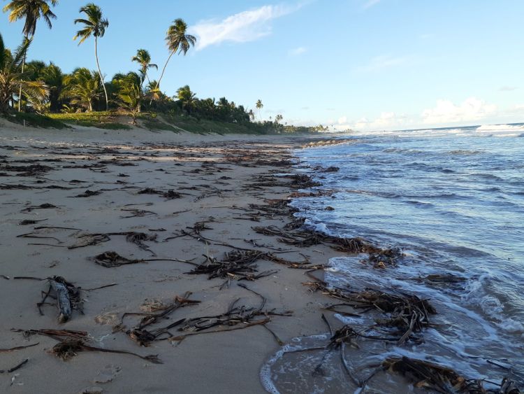 Foto Rivelino Martins