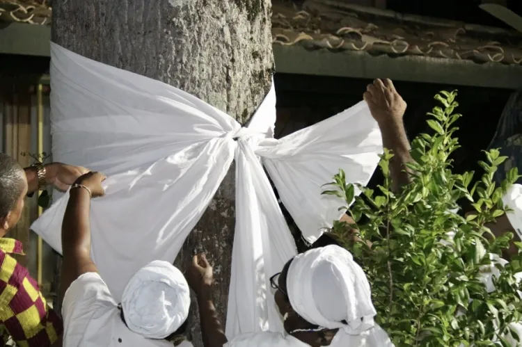  Foto: Danilo Magalhães